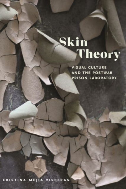 Skin Theory – Visual Culture and the Postwar Prison Laboratory Visperas Hardback