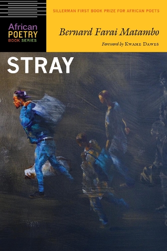 Stray Matambo Dawes Paperback John Wiley & Sons 9781496205582