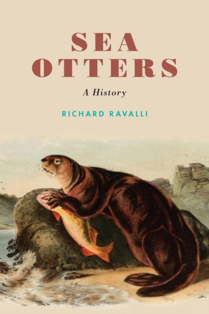 Sea Otters – A History Ravalli Paperback John Wiley & Sons 9781496225009