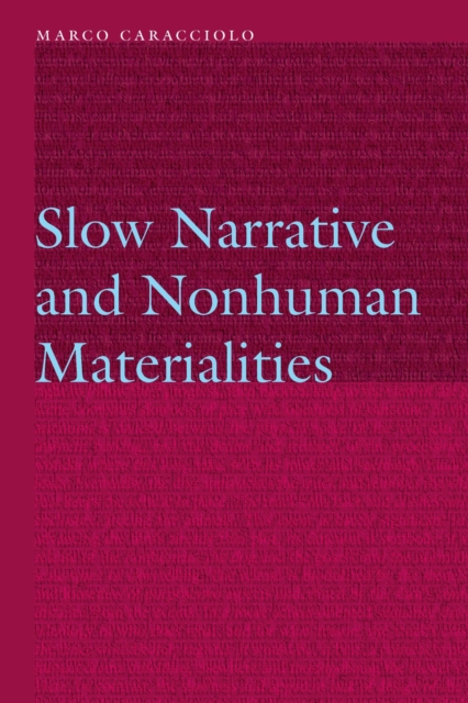 Slow Narrative and Nonhuman Materialities Caracciolo Hardback John Wiley & Sons