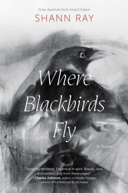 Where Blackbirds Fly – A Novel Ray Paperback John Wiley & Sons 9781496243577
