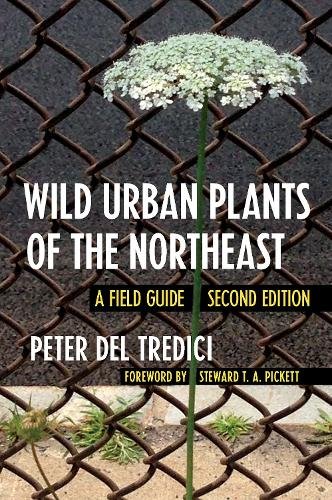 Wild Urban Plants of the Northeast – A Field Guide Del Tredici Pickett Paperback