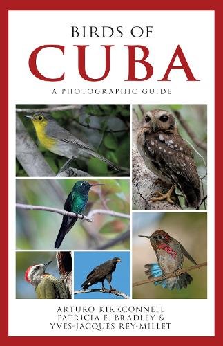 Birds of Cuba – A Photographic Guide Kirkconnell Bradley Rey–millet Paperback