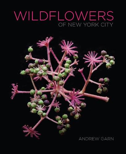 Wildflowers of New York City Garn Hardback John Wiley & Sons 9781501751622