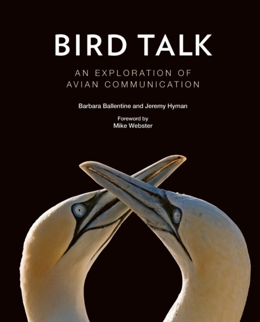Bird Talk – An Exploration of Avian Communication Ballentine Hyman Webster