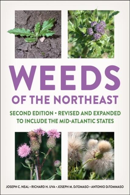 Weeds of the Northeast Neal Uva Ditomaso Ditommaso Paperback John Wiley & Sons