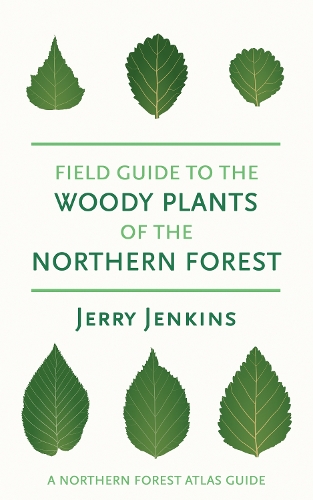 Field Guide to the Woody Plants of the Northern Forest Jenkins Paperback