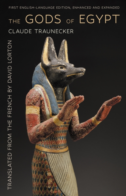The Gods of Egypt Traunecker Lorton Paperback John Wiley & Sons 9781501784385