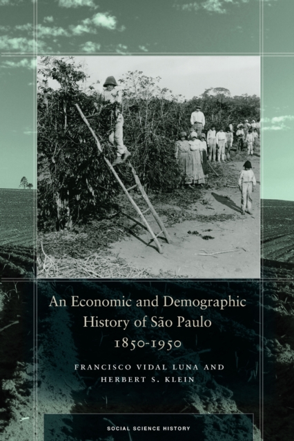 An Economic and Demographic History of São Paulo, 1850–1950 Luna Klein Hardback