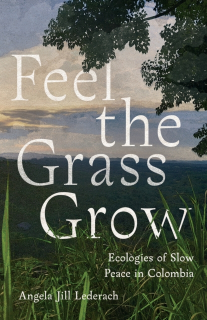Feel the Grass Grow – Ecologies of Slow Peace in Colombia Lederach Paperback