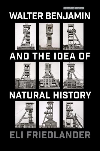 Walter Benjamin and the Idea of Natural History Friedlander Hardback