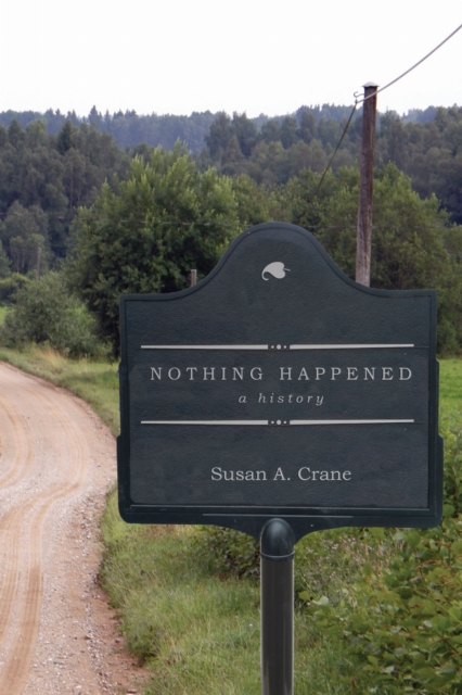 Nothing Happened – A History Crane Paperback MK – Stanford University Press