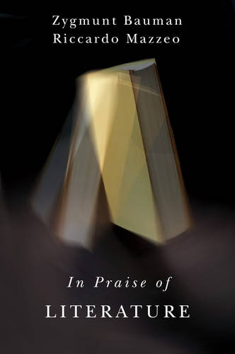 In Praise of Literature Bauman Hardback Polity Press 9781509502684