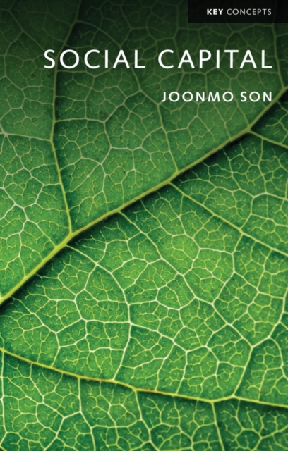 Social Capital Son Paperback Polity Press 9781509513796