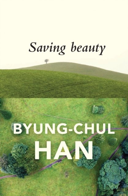 Saving Beauty Han Paperback Polity Press 9781509515103