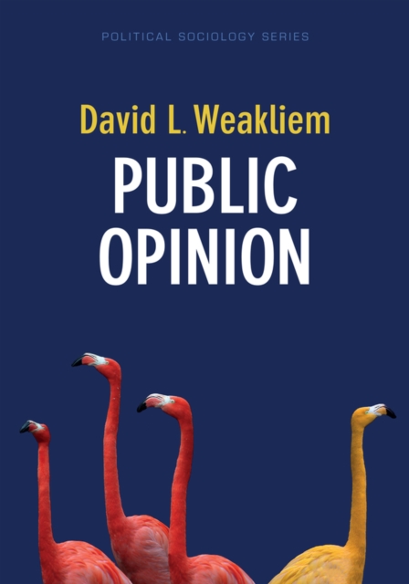 Public Opinion Weakliem Hardback Polity Press 9781509529469