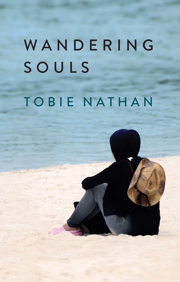Wandering Souls Nathan Paperback Polity Press 9781509534968