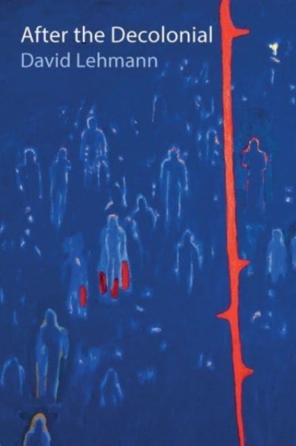 After the Decolonial – Ethnicity, Gender and Social Justice in Latin America