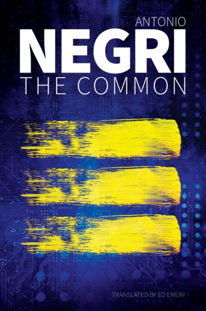 The Common Negri Paperback Polity Press 9781509544271