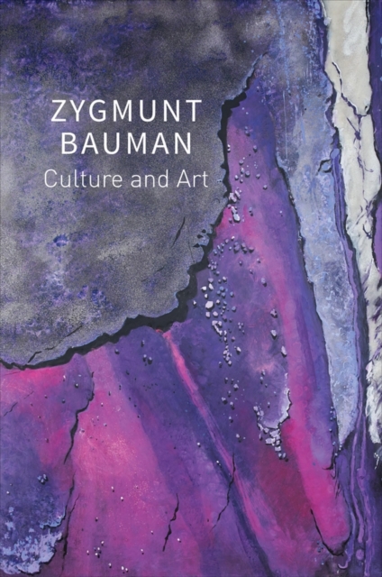 Culture and Art: Selected Writings, Volume 1 Bauman Paperback Polity Press