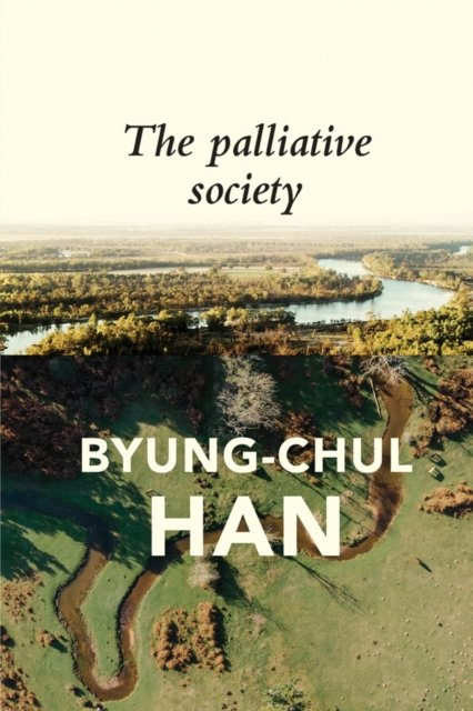 The Palliative Society Pain Today Han Steuer Paperback Polity Press
