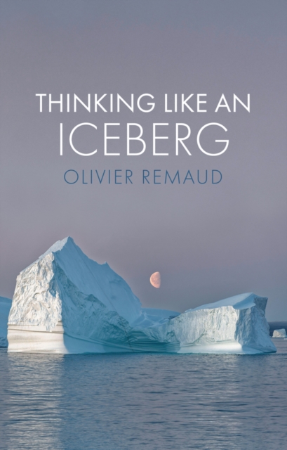 Thinking Like an Iceberg Remaud Hardback Polity Press 9781509551460