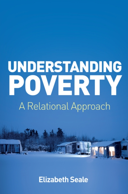 Understanding Poverty: A Relational Approach Seale Paperback Polity Press