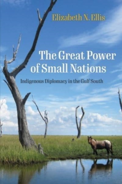 The Great Power of Small Nations – Indigenous Diplomacy in the Gulf South Ellis