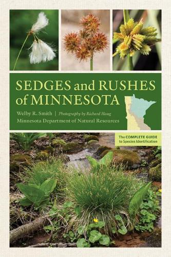 Sedges and Rushes of Minnesota – The Complete Guide to Species Identification