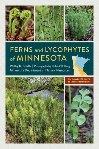 Ferns and Lycophytes of Minnesota – The Complete Guide to Species Identificatio…