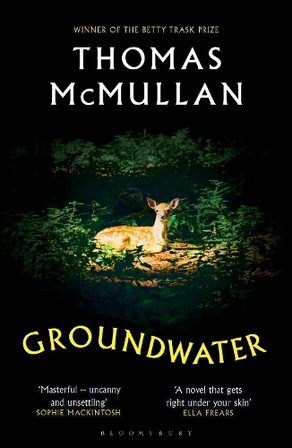Groundwater bookcover