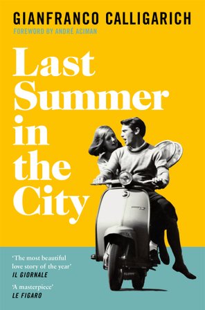 Last Summer in the City bookcover