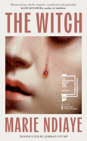 The Witch bookcover