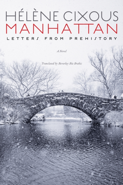 Manhattan – Letters from Prehistory Cixous Brahic Paperback John Wiley & Sons