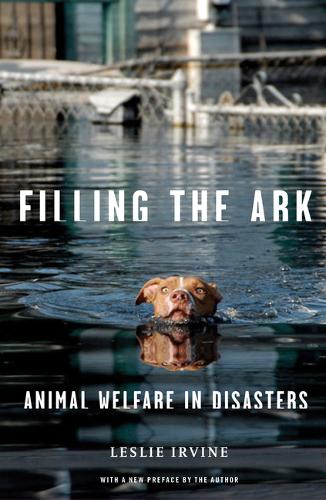 Filling the Ark – Animal Welfare in Disasters Irvine Paperback John Wiley & Sons