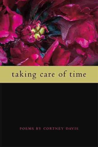 Taking Care of Time Davis Paperback LUP – Michigan State University Press