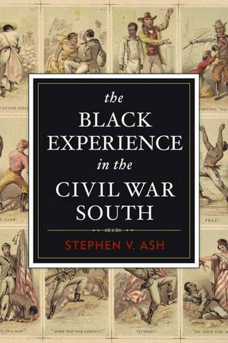 The Black Experience in the Civil War South Ash Paperback John Wiley & Sons