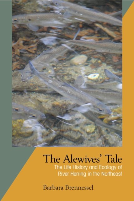 The Alewives Tale – The Life History and Ecology of River Herring in the Northe…