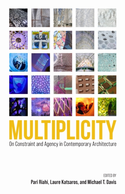 Multiplicity – On Constraint and Agency in Contemporary Architecture Riahi