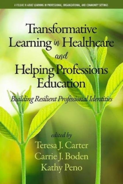 Transformative Learning in Healthcare and Helpin – Building Resilient Professio…