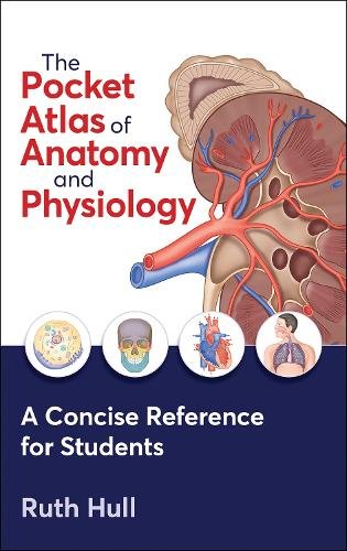 The Pocket Atlas of Anatomy and Physiology Hull Paperback MG – Human Kinetics