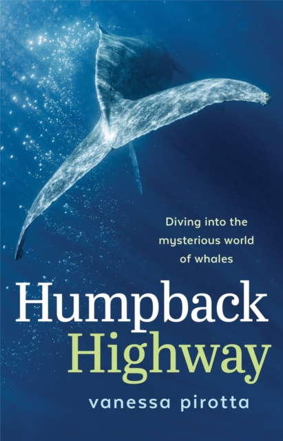 Humpback Highway – Diving into the mysterious world of whales Pirotta Paperback
