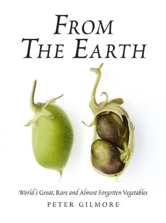 From the Earth bookcover