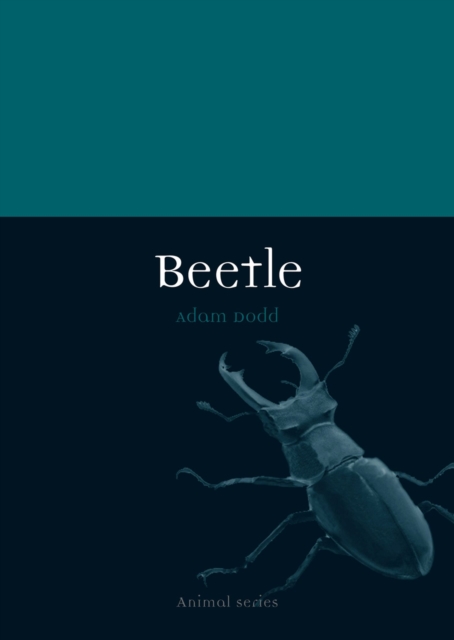 Beetle Dodd Paperback Reaktion Books 9781780234885