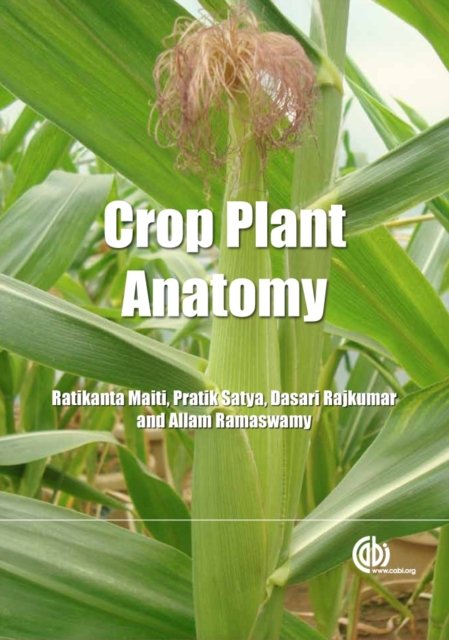 Crop Plant Anatomy Maiti Satya Rajkumar Ramaswamy Hardback CABI 9781780640198