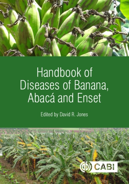 Handbook of Diseases of Banana, Abacá and Enset Jones Hardback CABI