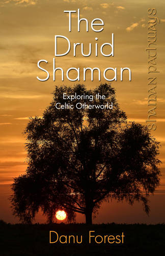 Shaman Pathways – The Druid Shaman – Exploring the Celtic Otherworld Forest