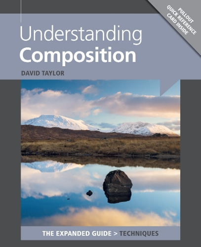 Understanding Composition Taylor Paperback GMC – Ammonite 9781781450512