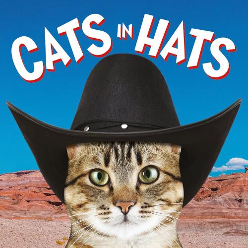 Cats in Hats Unknown Hardback GMC – Ammonite 9781781453476