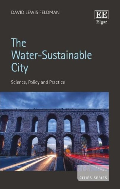 The Water–Sustainable City – Science, Policy and Practice Feldman Hardback